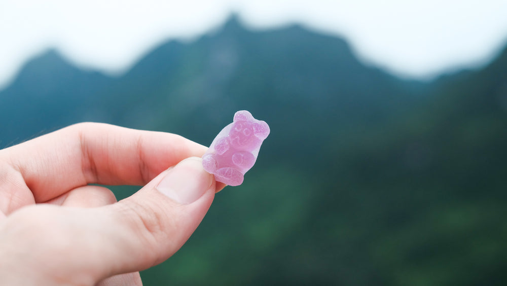 How to use CBD Gummies for Pain in 2019