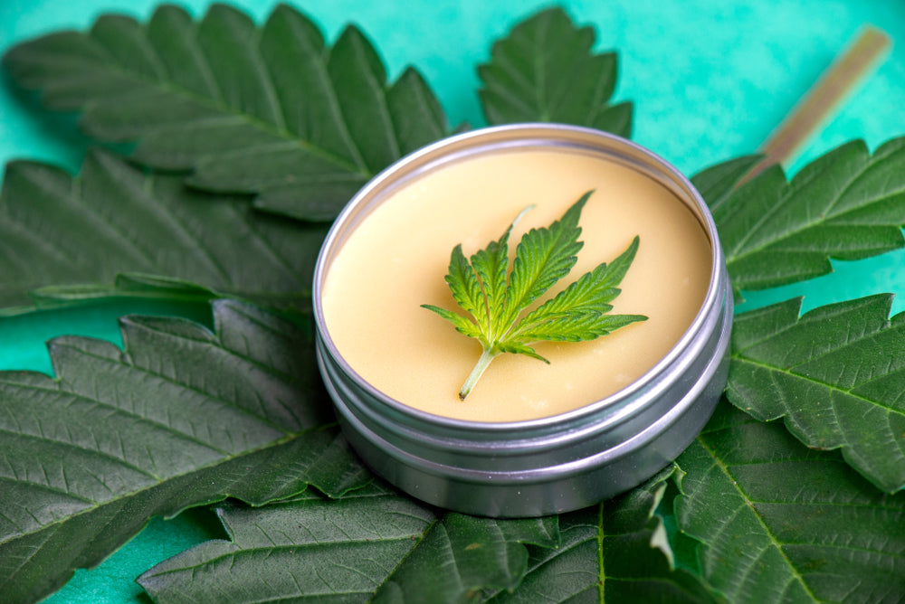 WHAT YOU SHOULD KNOW ABOUT CBD SALVES