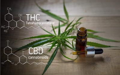 The Many Benefits of CBD vs THC in 2020