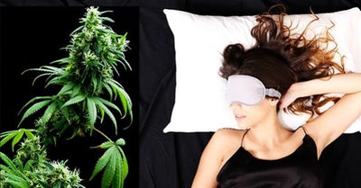 How to use CBD Gummies for Sleep and Insomnia