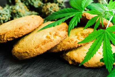 Introducing CANNABIDIOL oil for pain