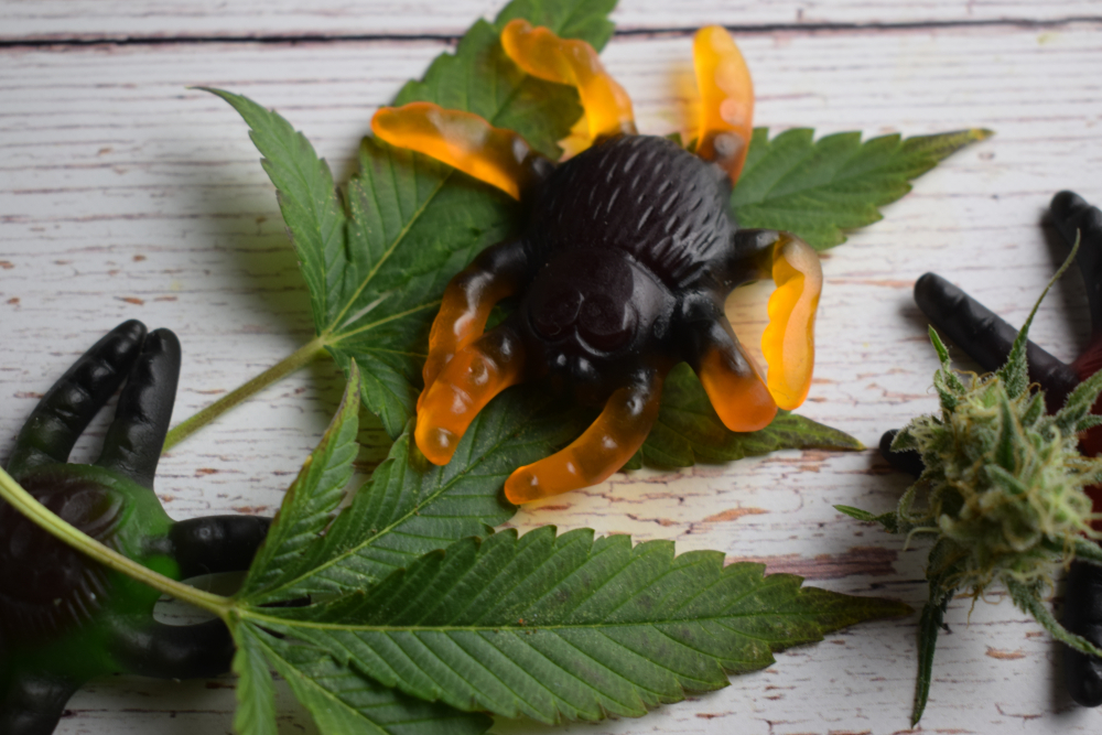 What are CBD gummies And Why You Should Try Them?