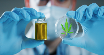 The Most Important Things to know About Cannabidiol Oil in 2020