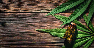 The benefits of using cbd tinctures