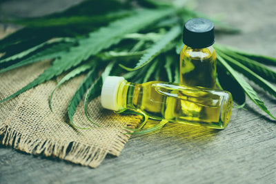 CBD Tincture vs Oil ( Similarities and Differences )