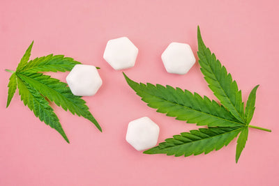 the effect of CBD oil on anxiety
