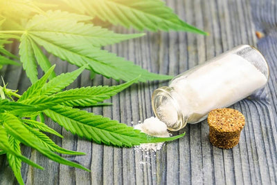 CBD Isolate in USA