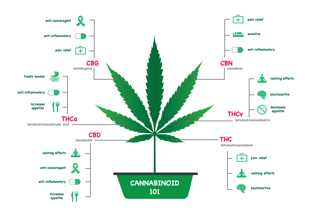 SIX SUPER BENEFITS OF CBD (USES OF CBD)