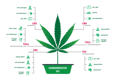 SIX SUPER BENEFITS OF CBD (USES OF CBD)