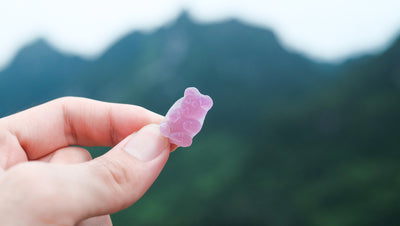 How to use CBD Gummies for Pain in 2019