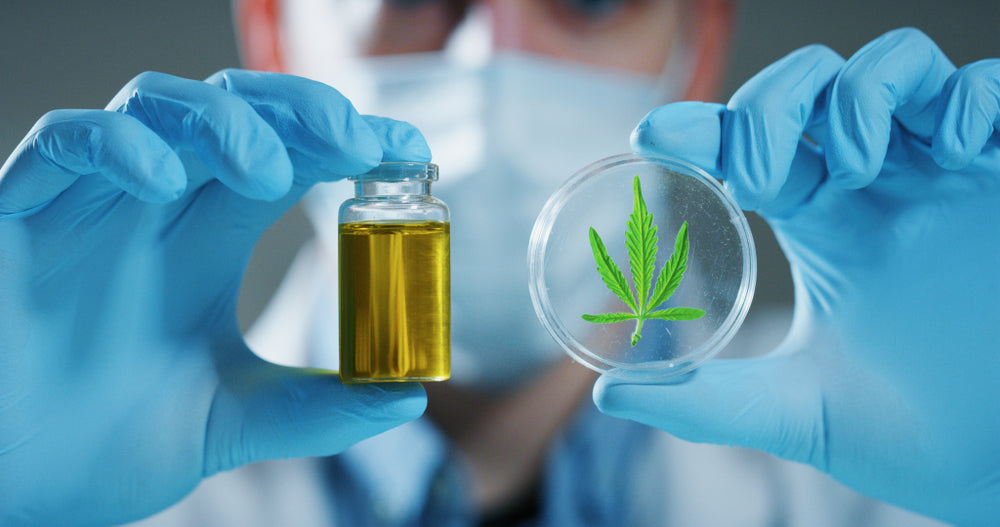 What you Need to know About CBD With Zero THC