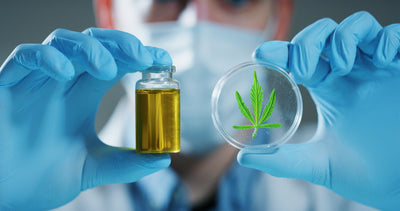 What you Need to know About CBD With Zero THC