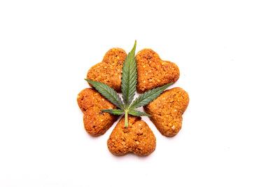CBD Oil for Dogs Petco and Atlanta: How Does it Work?
