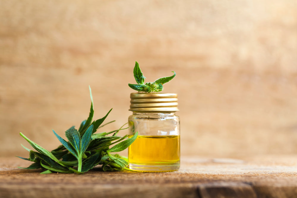 Learn About the Benefits of CBD Oil