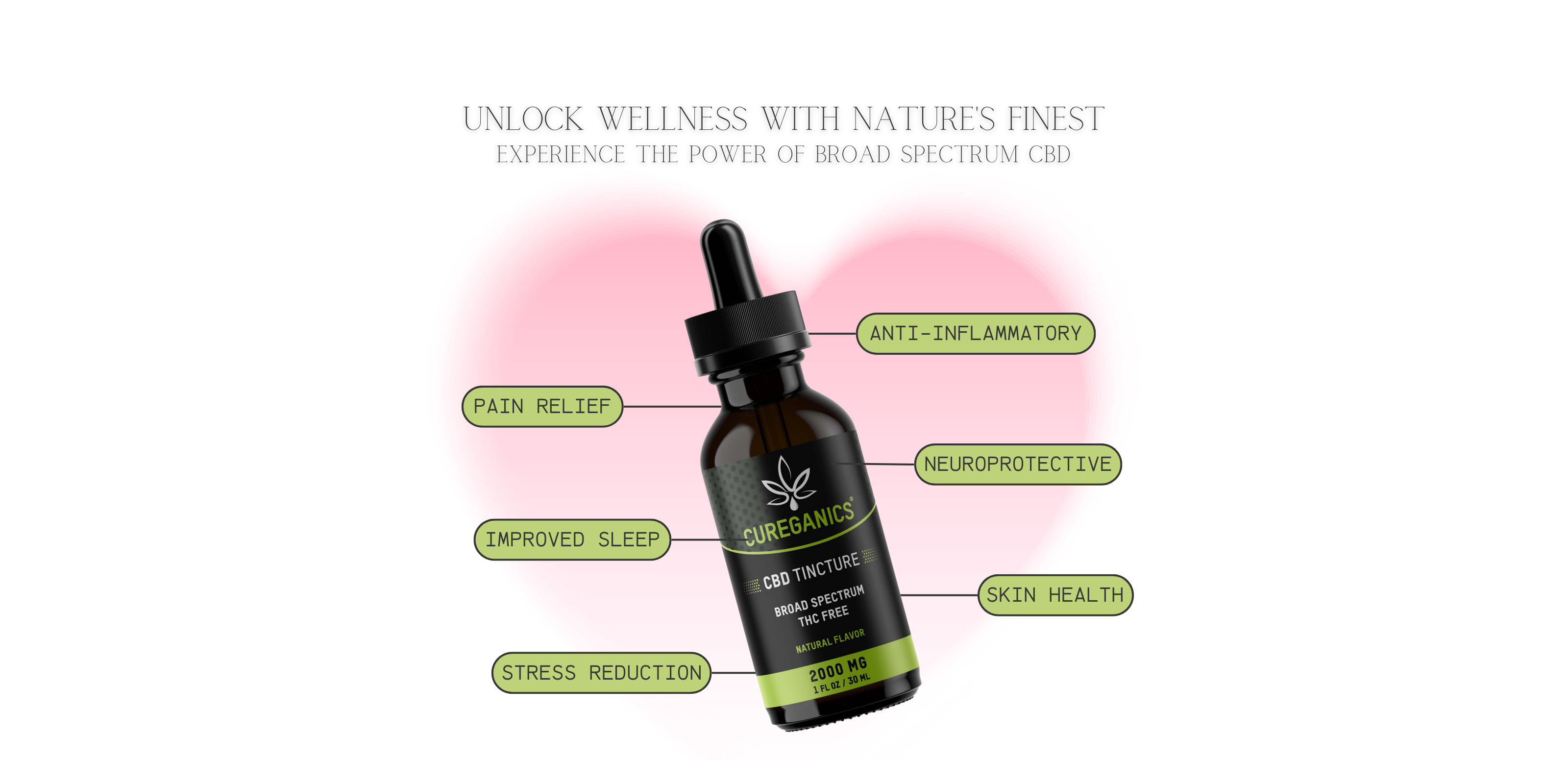 CBD ORGANIC Cures Rich Serum 2個 CBD ORGANIC Cures Rich Serum(2個) 【公式ショッピングサイト】