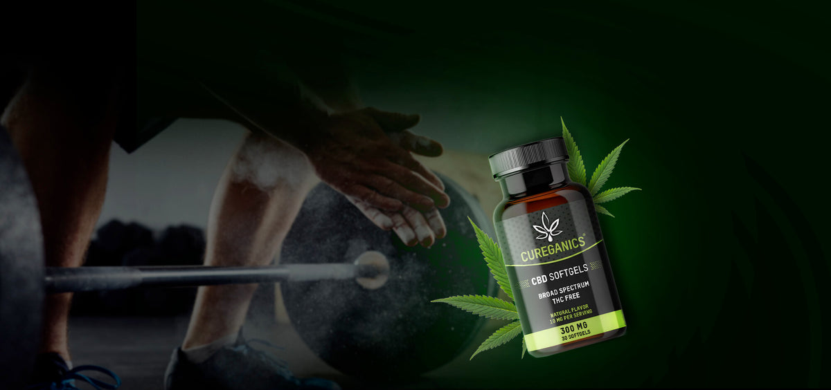 Cureganics Buy CBD Products