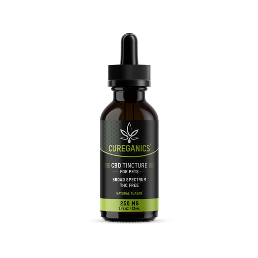 CBD Pet Tincture